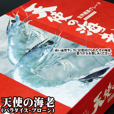 【お刺身用】天使の海老[冷凍] 特大1kgセット(30-40尾程度入)【送料無料】【業務・パーティー・まとめ買い用】エビ