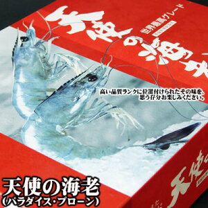 【お刺身用】天使の海老[冷凍] 特大1kgセット(30-40尾程度入)【送料無料】【業務・パーティー・まとめ買い用】エビ【楽ギフ_のし】