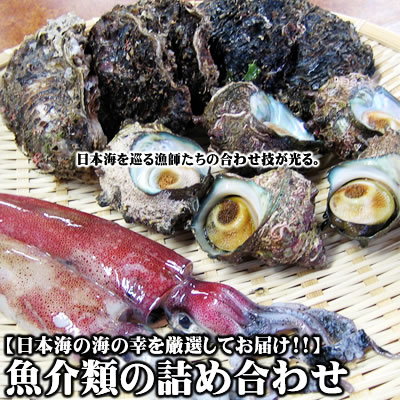 魚介類の詰め合わせセット福袋(魚介類2〜3品程度入) 【送料無料】【冷.凍商品・一部常.温(果物など)商品以外同梱可】