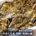 幸漁丸水産 特鮮 鳴瀬牡蠣 殻付き牡蠣20個生牡蠣 宮城県 ...