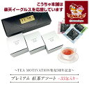 【 送料無料 】紅茶 ギフト セット TEA MOTIVATIONプレミアム 紅茶アソート33包【 紅茶 ティーバッグ おしゃれ かわいい プレゼント 甘いものが苦手 ダージリン 個包装 お返し ウエディング 誕生日 引き出物 贈答 冬父の日 お中元 ギフト お年賀 】TMPAS414 RSL
