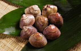 中国産はまぐりL 1個