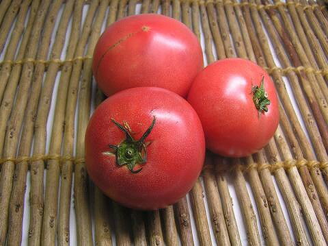 【西日本産、または中部地方産）】 特別栽培　トマト　約400g※欠品、価格変更の場合あり
