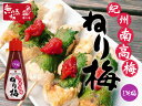 『紀州南高梅 ねり梅』メール便対応1通4個まで 使いやすいチューブタイプ 贈り物 食べ物 ギフト お取り寄せ 詰め合わせ 食品 グルメ おくりもの 樽の味 御歳暮 お歳暮 御歳暮ギフト お歳暮ギフト お取り寄せグルメ お礼 お返し お祝い 御歳暮 お歳暮 お歳暮ギフト
