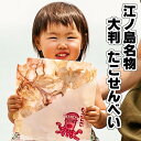 お試し 【友達がびっくり?】【訳あり 送料無料】【ギフト パリッ 江ノ島名物 大判 たこせんべい 2袋】在庫処分 食品 スィーツ お菓子 菓子 グルメ お土産 誕生日プレゼント おためし たこせん セット たこ せんべい 煎餅 お煎餅 米菓 お取り寄せ 詰め合わせ 個包装 限定
