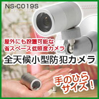 全天候 小型防犯カメラ _eyeホーク/ 防犯カメラ / 小型 /超小型防犯カメラNS-C019S/日本セキュリティ機器販売