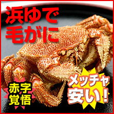 北海道産ボイル毛がに【約570g】