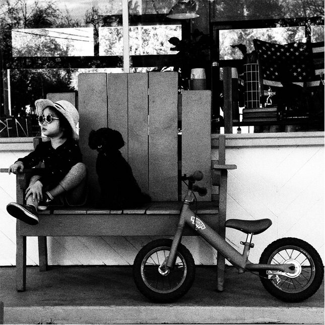 ... 自転車/子供用)【レビューを
