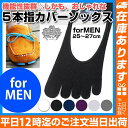 5本指ソックス メンズ 【 5本指 カバーソックス