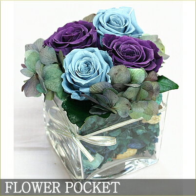 ݥץιꥢޥե¨ȯǽ/ǰ/ӥͥ/ˤ/顦//޲/Źʤ(  MIX)ڥץꥶ֥ɥեۥԥ֥롼
