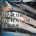 希少なる特大秋刀魚 約180-200g!サンマ 北海道産[築...