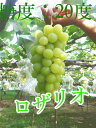 【送料無料】ロザリオ 大人気新品種は冬越し管理した美味しい葡萄です。ぶどうの匠が作るブドウは糖度、酸味、旨みの極上の逸品です。2房セット【楽ギフ_のし宛書】