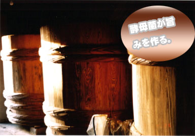 【送料無料】「こだわり味噌」杉樽でじっくり1年熟成発酵した越後みそ、菌が生きているみそお試し300グラム（お試し商品・メール便）