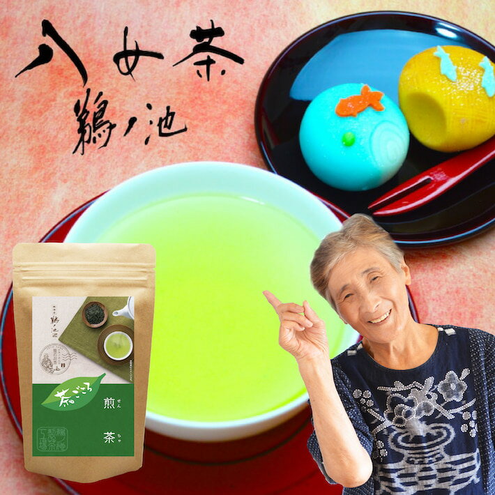 <strong>新茶</strong> 2024年 <strong>八女茶</strong> 煎茶 送料無料 茶ごころ 100g メール便 お茶 緑茶 日本茶 茶葉 深蒸し茶 自社農園 煎茶 一番茶 ポスト投函 通販 お土産 ランキング 九州産 鵜ノ池製茶