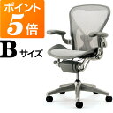 アーロンチェアチタニウムカラーベース ポスチャーフィットフル装備 Bサイズ グレイシャー
