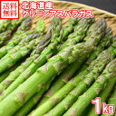 グリーンアスパラガス Lサイズ 1kg 北海道産直 北海道産 アスパラガス 送料無料 ◆出荷予定:5月中旬