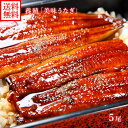 【ギフト うなぎ】ウナギの蒲焼き 5尾 セット 120g~130g前後 ウナギ ギフト 海鮮 うなぎ ギフト 鰻 蒲焼き 土用 の 丑の日 送料無料 ウナギ プレゼント バレンタインデー チョコ以外 鰻 うなぎ 蒲焼き お見舞い 快気祝い ウナギ gift set 鰻 ウナギ うなぎ 食べ物