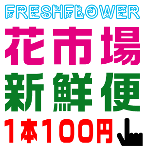 ֤⤪㤤塼å60OFF1100ߡֻԾ쿷ء塼å50OFF6ָꥻ
