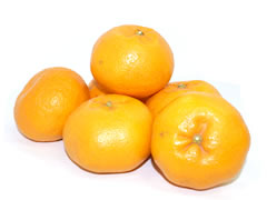 äιȴŤ̽٤䤹ߤǤڤ櫓Ϥ3kg+̤塼2ʥå