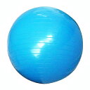 10P04Aug13【激安価格】【送料無料】バランスボール 青(Φ65cm)【ダンベル・トレーニングマシン・筋トレ・格闘技用品のワイルドフィット】【smtb-k】【ky】【YDKG-k】【ky】