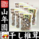 【高級】干ししいたけ 国産 どんこ 100g×6袋セット 干...