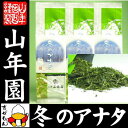 お茶 日本茶 冬のアナタ 100g×3袋セット 送料無料 国...