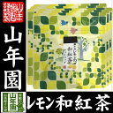 【国産100%】瀬戸内レモンの和紅茶 ティーパック 2g×5包×6袋セット送料無料 ティーバッグ 健康 ダイエット ギフト プレゼント お歳暮 お年賀 プチギフト お茶 内祝い チャイ 2018 早割