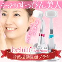 毛穴洗浄 美ルル洗姫 belulu senhime