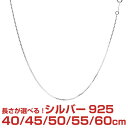 シルバー チェーン ネックレス 喜平チェーン(きへいチェーン) SILVER 925 幅 1.2mm 長さ 40/45/50/55/60cm cd35 メール便 父の日 プレゼント