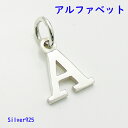 小さなアルファベットのチャーム(1)Aステンレスチェーンセット メイン ゴシック体 ネックレス フォント ペンダント シルバー925メンズ レディース 送料無料