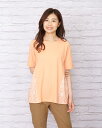 Tシャツ/ゴールデンベア