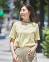 Tシャツ/ゴールデンベア