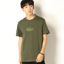 フロッキーロゴプリントTシャツ/ラコステ(LACOSTE)