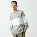 【Web限定】LACOSTE × BEAMS / 別注 刺繍 ビッグロゴ スウェット/ビームス(BEAMS)