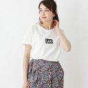 Lee ボックスロゴTシャツ/グローブ(grove)
