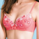 『Ray1月号掲載』天使のブラ 極上の谷間 ブラジャー 415 (CDEカップ)/トリンプ(Triumph)【2015autumnVoi】