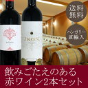 【送料無料】熟成ボルドータイプの赤ワイン2本セット。IKON...