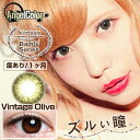(度あり)オリーブ ヴィンテージ(度あり2枚) バンビシリーズNEW 益若つばさエンジェルカラー VINTAGE ヴィンテージ ハーフ カラコン 14.2mm 1ヶ月 (カラコン)(コンタクト)(コンタクトレンズ)(カラーコンタクト)(エンジェルカラー)(オリーブ)