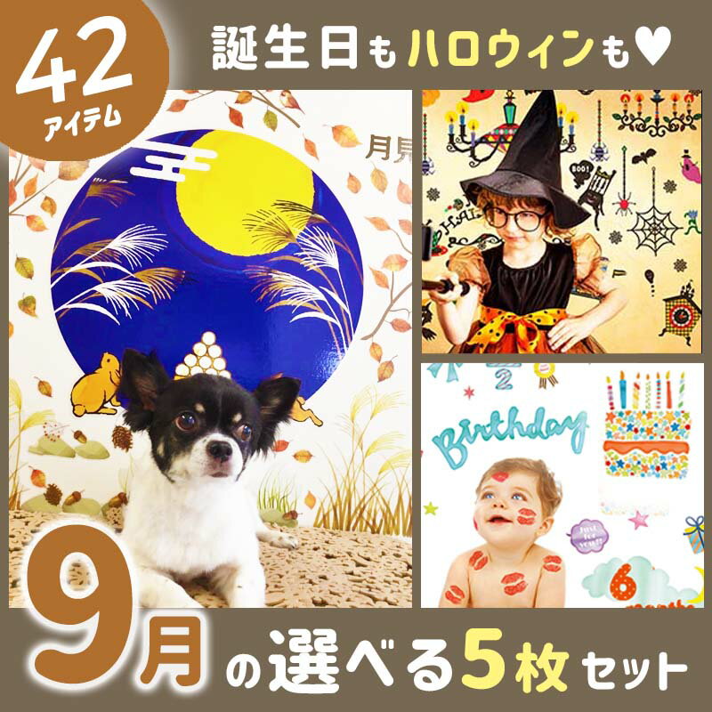 おまけ貰える＆42種類から5枚選べる 送料無料 ウォールステッカー 【2月の選べる5枚セット】 シー...:100magic:10003070