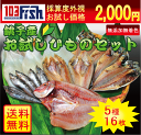 銚子産お試しひものセット送料無料★無添加無着色★地元の珍しいお魚も入ってます♪