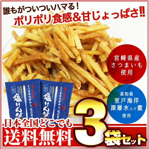 【お試し/送料無料（ゆうメール）】南国製菓　塩けんぴ　165g×3袋［1000円ぽっきり/…...:109-sen:10001336