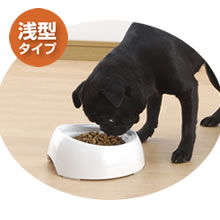 リッチェル Richell 犬用 食べやすい食器 M 浅型 (犬用の食器)【Aug08P3】