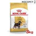    CJi ~j`AViEU[ Ep 10ȏ 3kg [BHN phC hbOt[h ] 3182550730587   #50665  bhn 201603 08  RCA  RCSC 