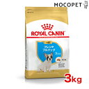 [CJi]ROYAL CANIN v~A hbOt[h hC BHN t`uhbO qp ...