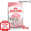 ロイヤルカナン]ROYAL CANIN FHN キトン 生後12ヵ月齢の子猫用(メインクーン 15ヵ月齢まで) 2kg プレミアム キャットフード ドライ [正規品]【Aug08P3】