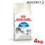 [CJi]ROYAL CANIN FHN ChA Lp 1΁`10΂܂ 4kg v~A Lbgt[h hC [Ki]