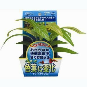 株式会社 マルカンニッソー事業部 温感フラワー「色葉に変化」グリーンプランツA【Aug08P3】【32％OFF】