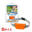 最大350円クーポン☆ファンタジーワールド ノーバーク トレーニング カラー S 0831772000116 #w-146259-00-00