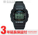 JVI CASIO GVbN (G-SHOCK) DW-5600E-1V Y rv { t #1472