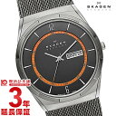 【エントリーでポイント5倍！】スカーゲン SKAGEN SKW6007 [海外輸入品] メンズ 腕時計 時計